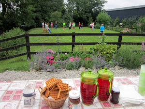 French & English summer camps run annually on our farm in County Laois. For Children of all skills and abilities we learn through fun interactive activities such as cooking, baking, singing, dancing and sports.